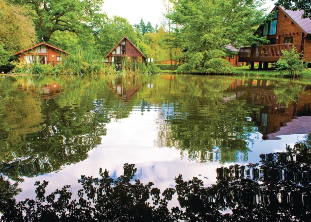 Whitemead Forest Park Hotel Parkend Екстериор снимка