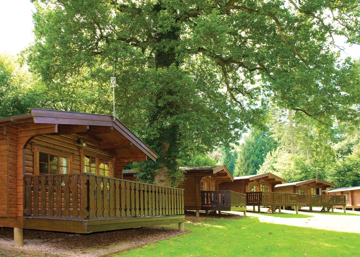 Whitemead Forest Park Hotel Parkend Екстериор снимка