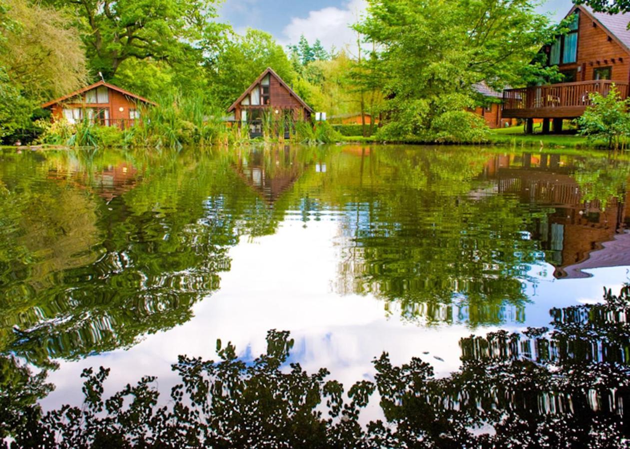 Whitemead Forest Park Hotel Parkend Екстериор снимка